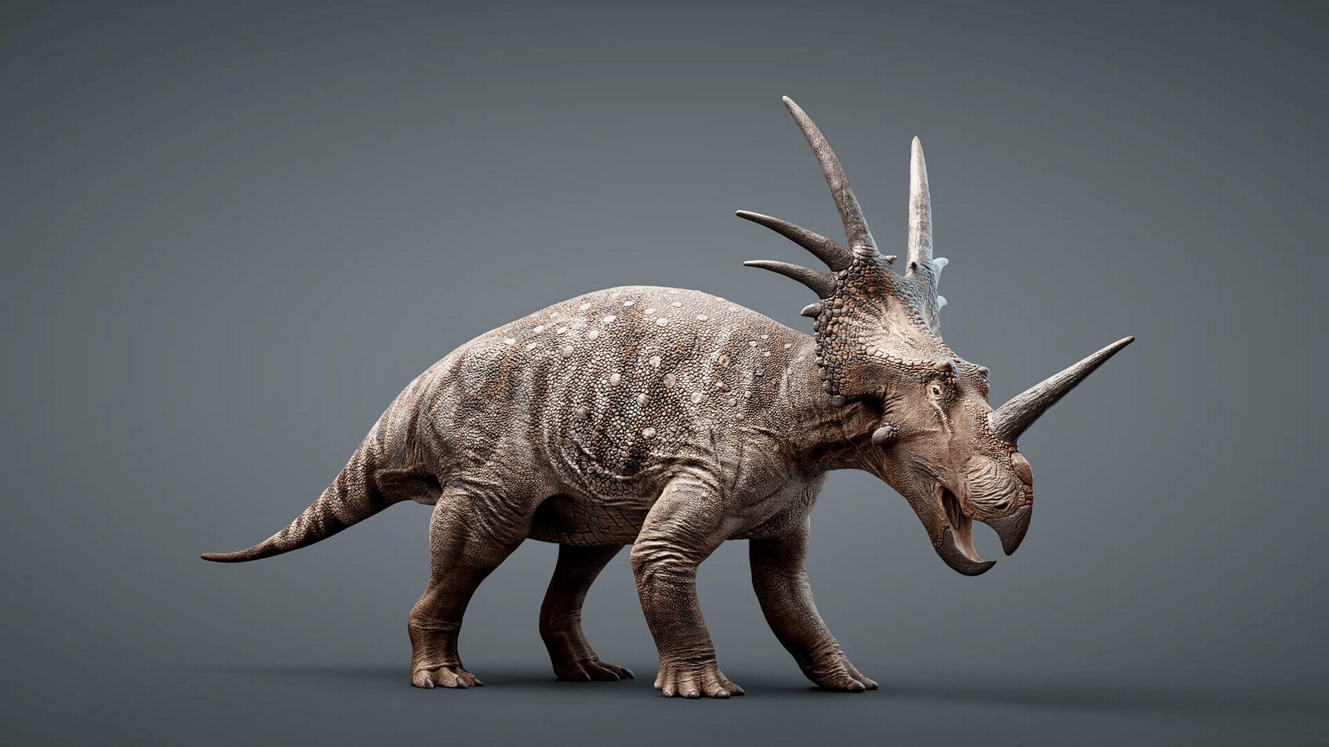 Rhinoceros dinosaur family