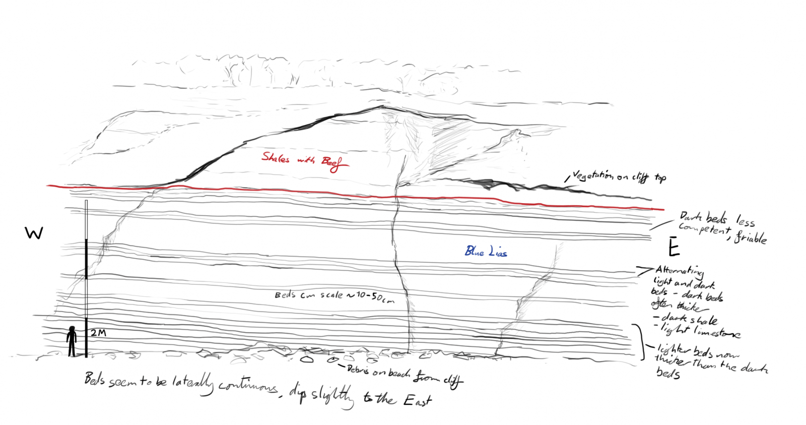 Virtual Field and Museum Skills Part 1 Darwin's Door